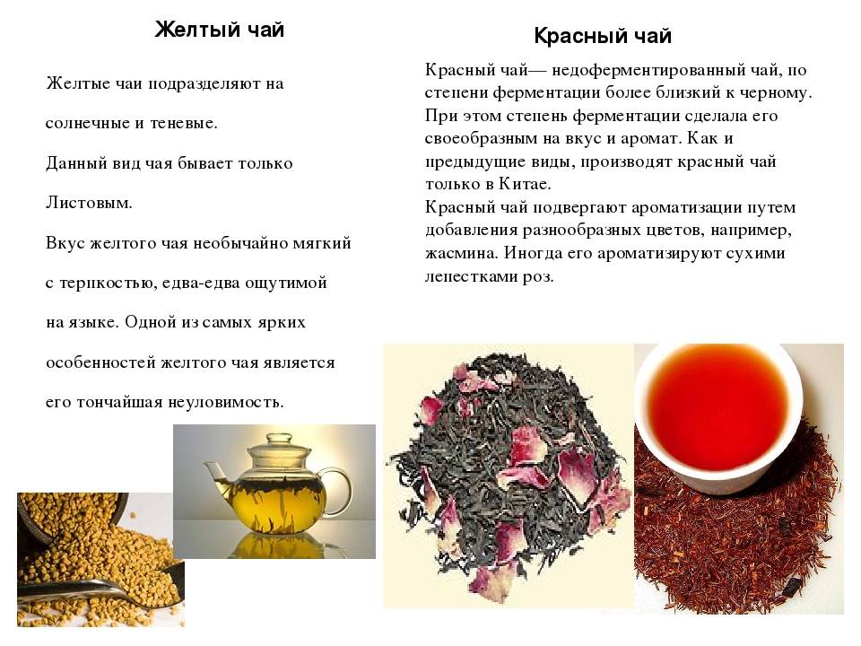 Финики: польза, как приготовить чай и отвар на воде и на молоке