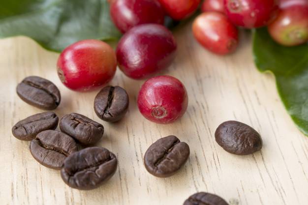 Кофейное зерно - coffee bean