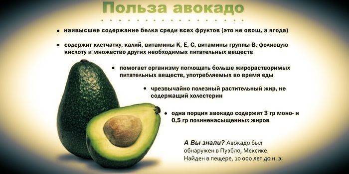 Авокадо - польза и вред для женщин, мужчин и детей | online.ua