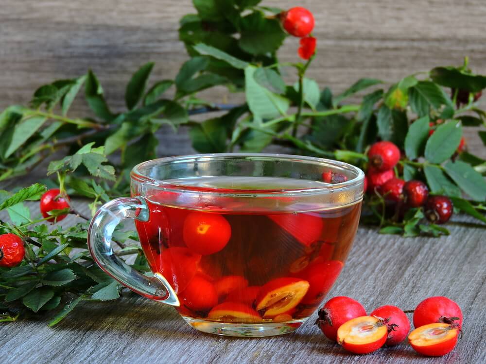 Чай из калины – витаминный напиток для вашего здоровья