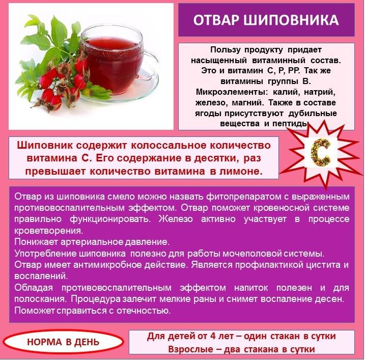 7 проверенных рецептов травяного чая от кашля на supersadovnik.ru