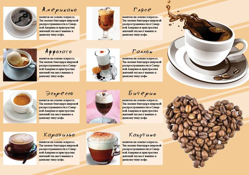 Кофе мокачино — сочетание сливочного и шоколадного вкусов