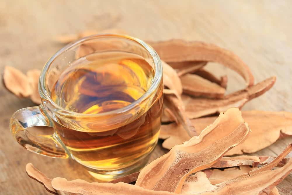 Чай с грибом Рейши – уникальный целебный напиток