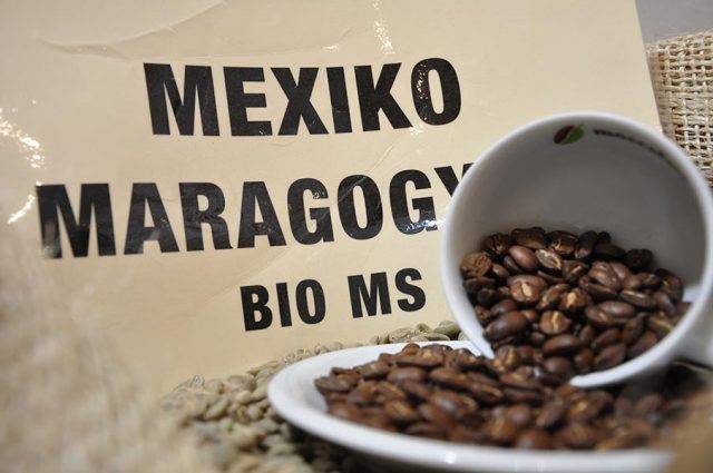 Особенности и лучшие сорта кофе из Гватемалы