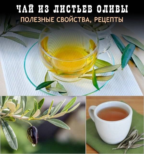 Чай из листьев – неисчерпаемый источник здоровья | огородники