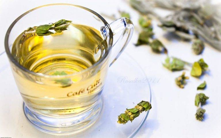 Мурсальский чай: как заваривать, полезные свойства