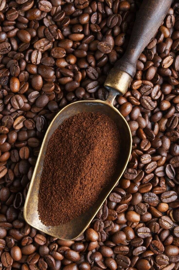 Кофе из эфиопии - сорт кофе эфиопия иргачиф