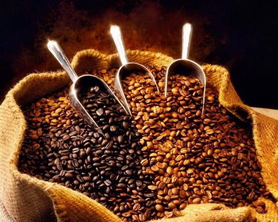 Чем органический кофе отличается от обычного