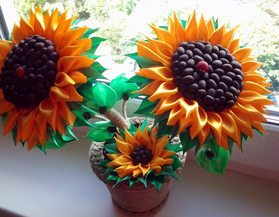 Топиарий из кофейных зерен