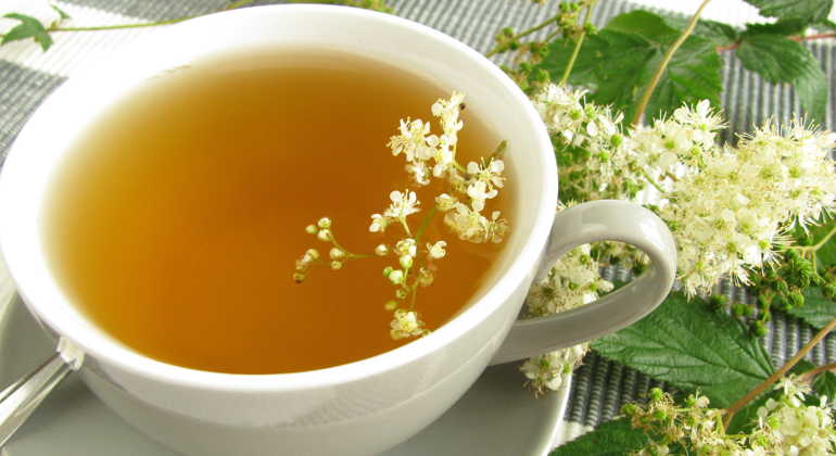 Травяные чаи - лучшие травы из которых заваривают чай
