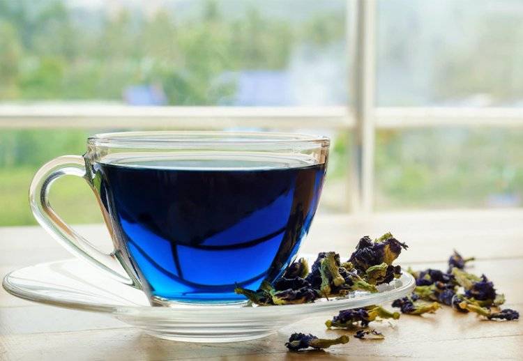 Синий чай: полезные свойства и правильное употребление удивительного чая, рецепты заваривания
