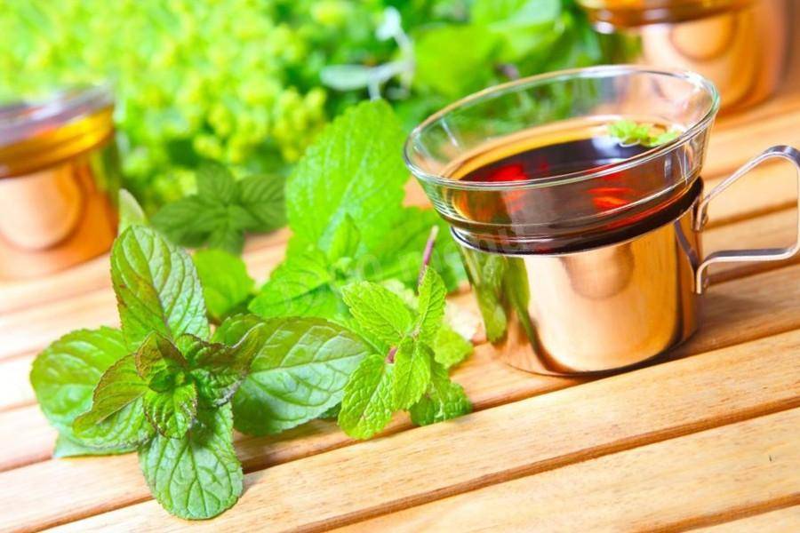 Чай с мятой: польза и вред мятного чая, чем полезен, как заваривать
