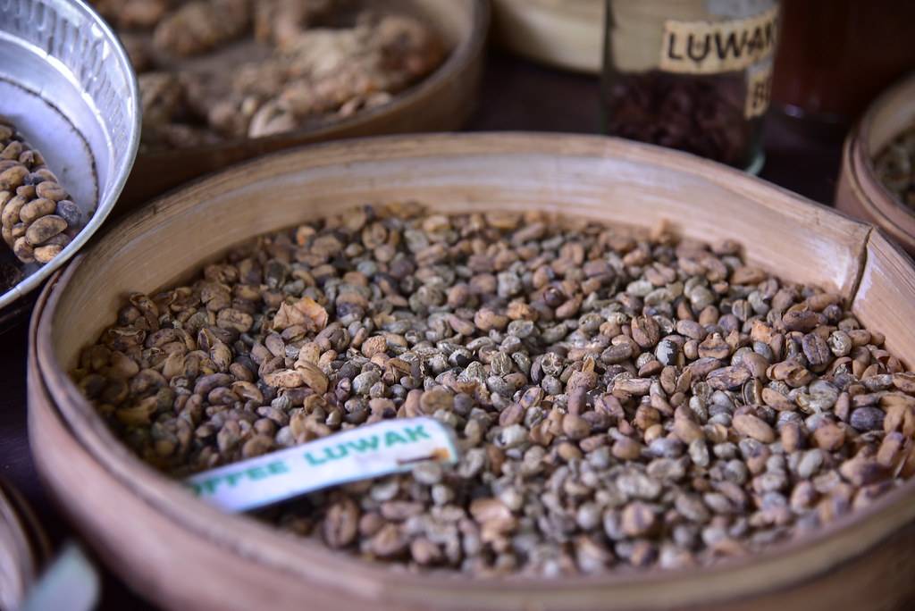 Kopi Luwak (Копи Лювак) – кофе из экскрементов