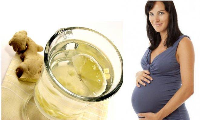 Мята при беременности: возможность употребления на разных сроках, правила использования, противопоказания