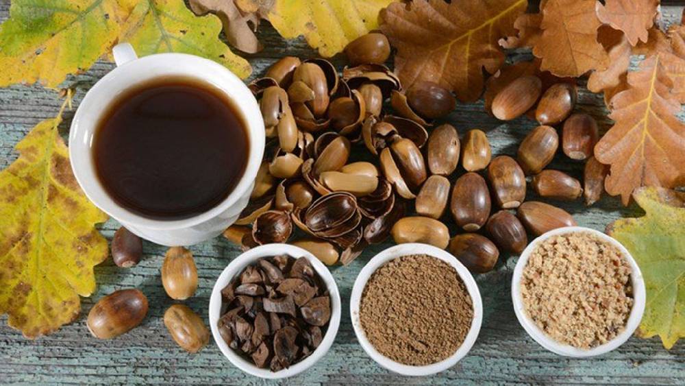 Кофе из желудей – польза и вред, правила приготовления напитка