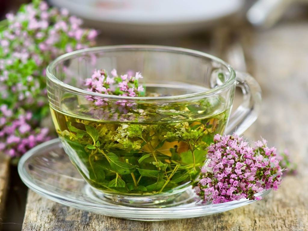 Лучшие рецепты травяных чаев от кашля