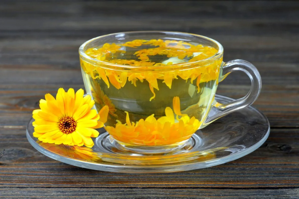 Чай из календулы: польза и вред, как заваривать, лечебные свойства