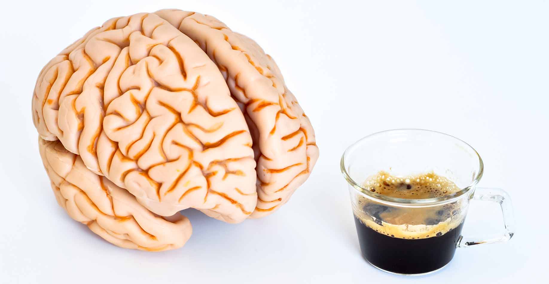 Какие продукты питания полезные для работы мозга человека | food and health