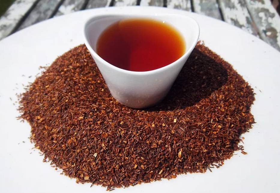 Ройбуш чай: наследие африканских туземцев. польза и вред чая для здоровья