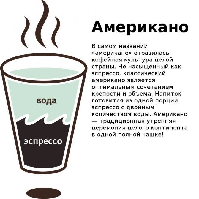 Разновидности кофе: названия и описания всех кофейных напитков