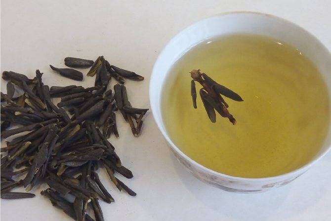 8 лечебных свойств бурятского чая Саган Дайля