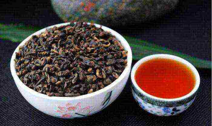 Виды китайского чая и самые известные сорта