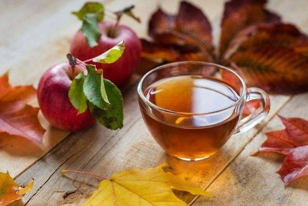 Приготовление и свойства мурсальского чая – редкого напитка из Болгарии