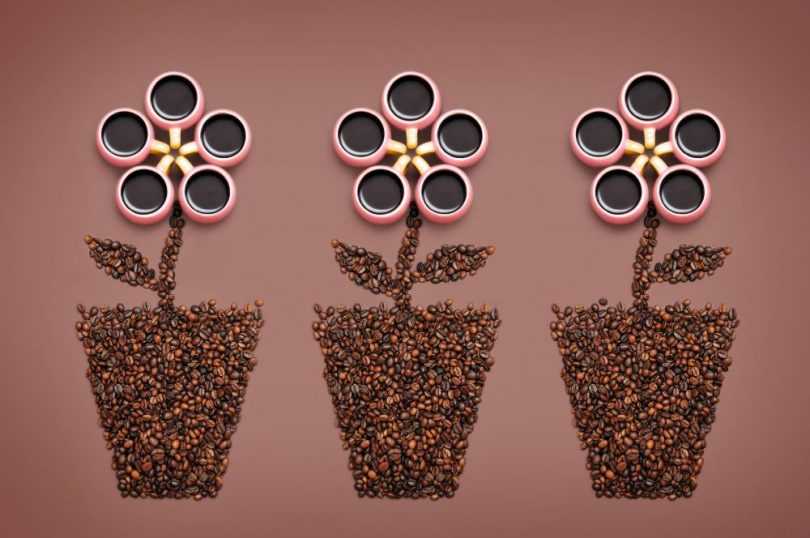 Топиарий из кофейных зерен