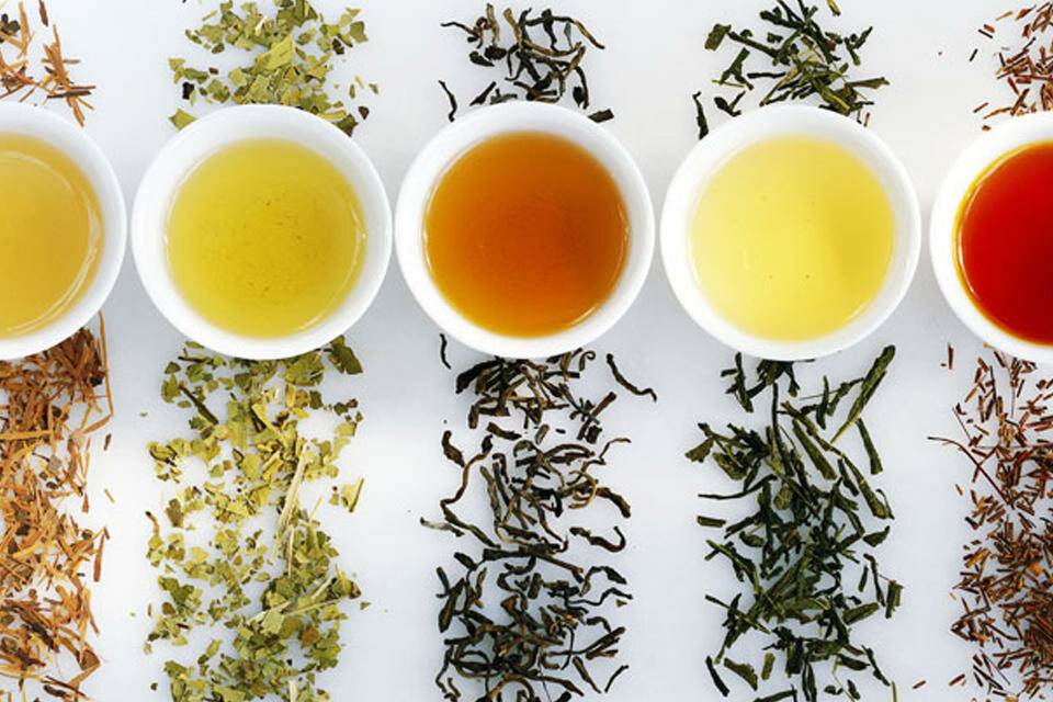 20+ видов чая и их польза для здоровья — открываем новые вкусы