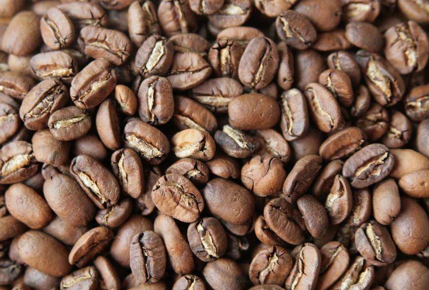 Кофе марагоджип: описание сорта, вкус, виды, особенности