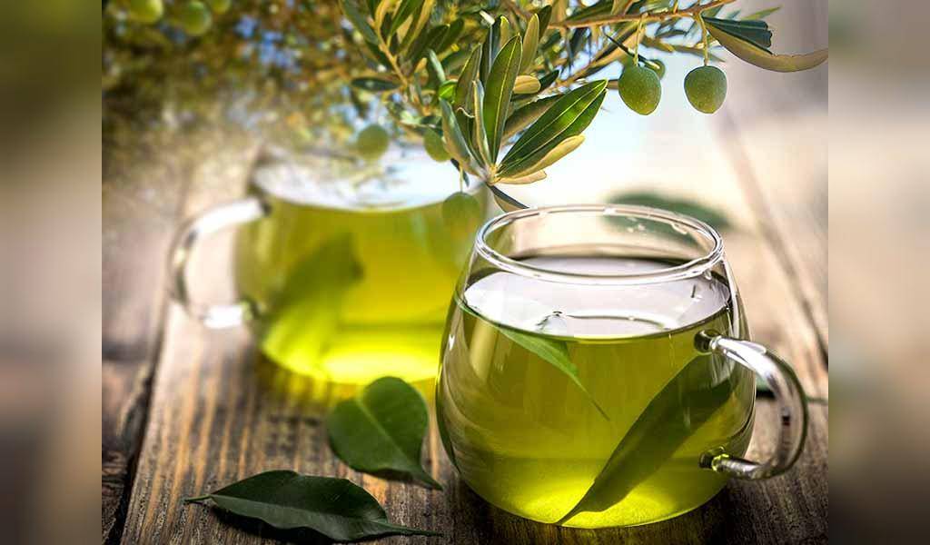 Оливковый чай: полезные свойства, рецепты заваривания, противопоказания