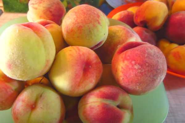Как приготовить смузи из персиков – свежих, замороженных или консервированных
