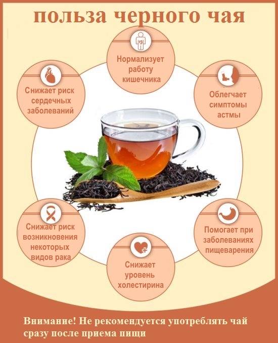 Зеленый чай и кофе: что полезней для здоровья?