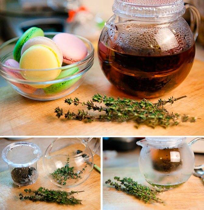 Иван-чай: лечебные свойства и советы экспертов