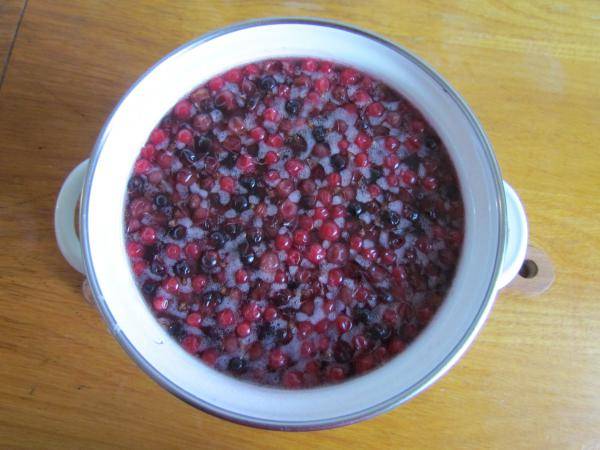 Кисель из черной смородины: рецепт с пошаговой инструкцией, как варить из замороженной ягоды и советы по приготовлению напитка