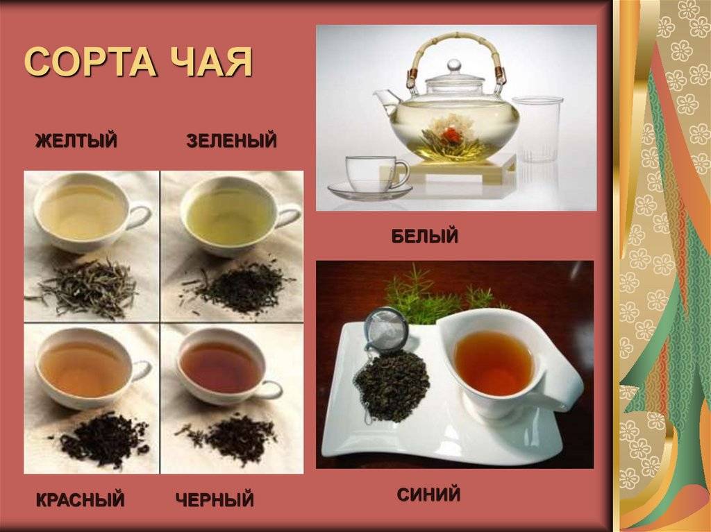 Топ-20 самых лучших сортов чая — рейтинг 2020 года. лучшие сорта чая в 2020 году