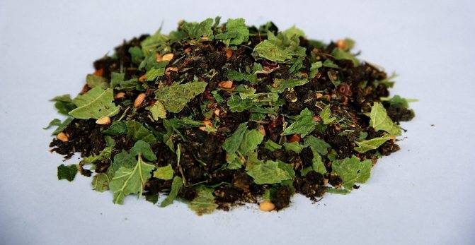 Польза и вред чая из листьев смородины: рецепты приготовления, как сделать