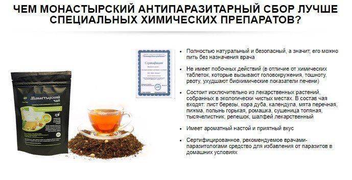 Монастырский антипаразитарный чай: как принимать от паразитов, свойства, рецепты
