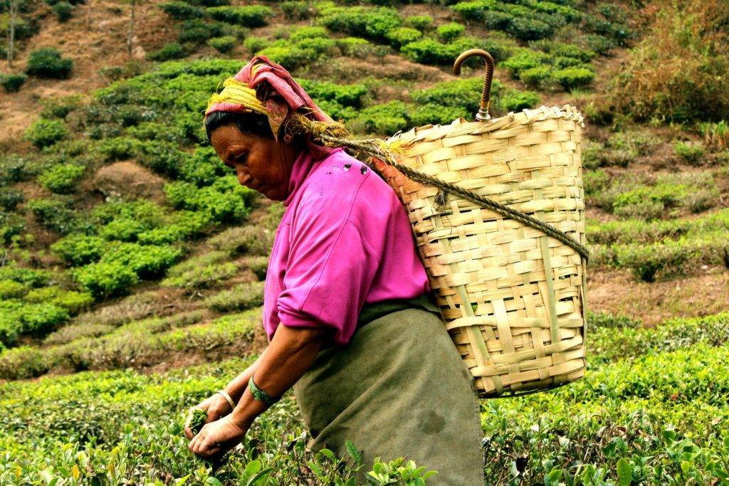 Молотый кофе