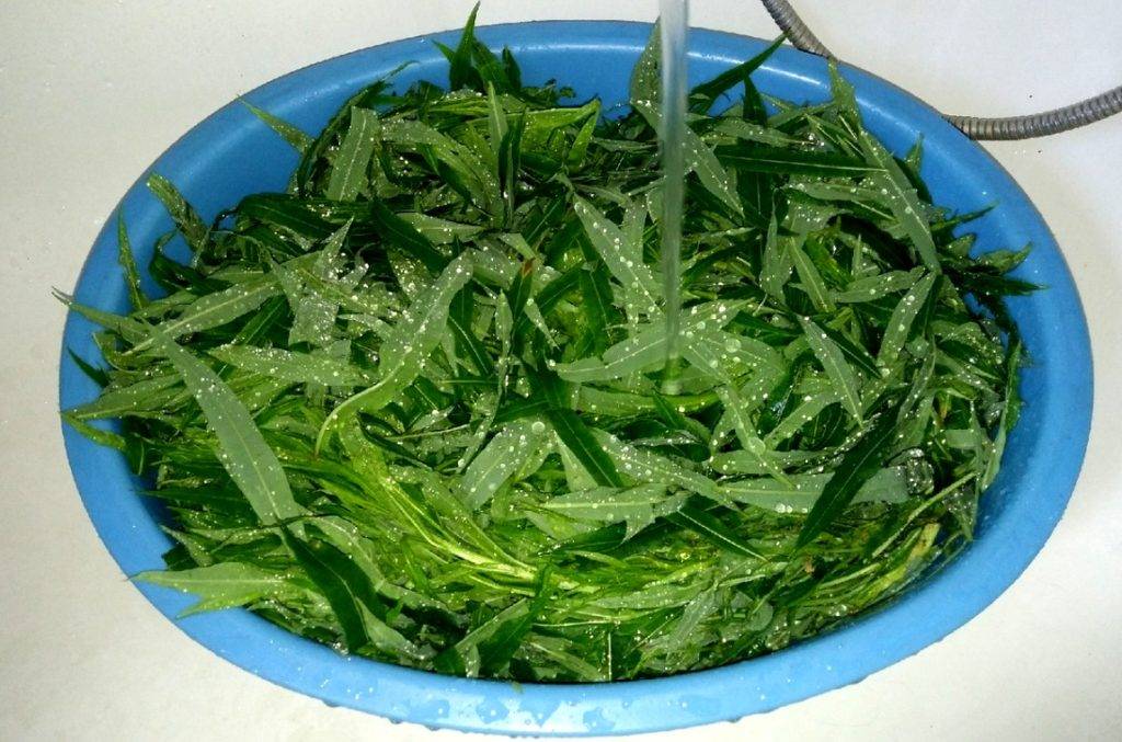 Как правильно заваривать иван-чай: рецепты и особенности приготовления