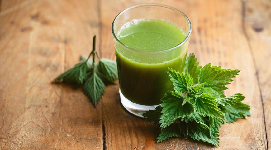 Чай из крапивы: полезные свойства, заваривание, отзывы