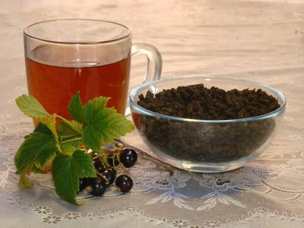 Полезные свойства листьев смородины черной: в чем польза для организма человека и есть ли вред и противопоказания, как заваривать лечебный чай