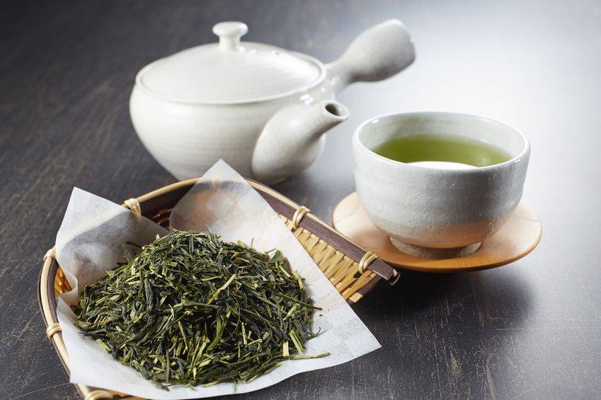 Чай сенча, описание, польза и вред