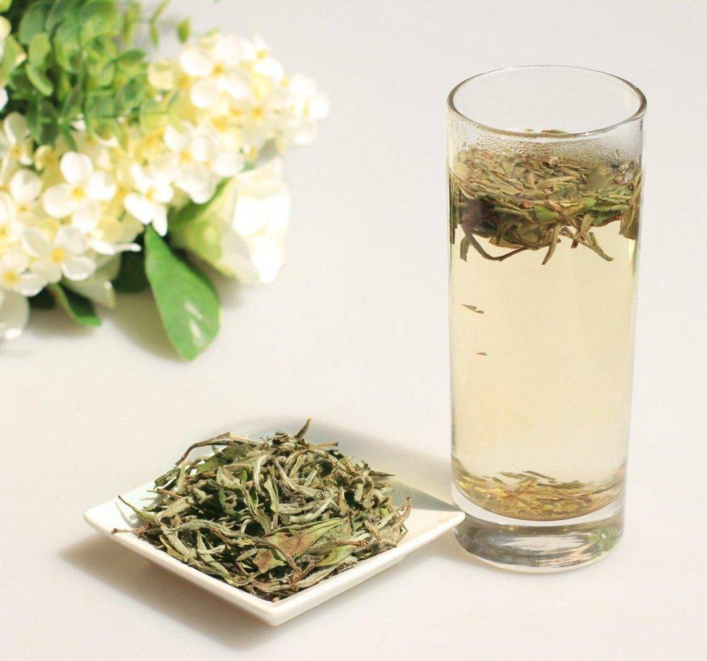 Свойства чая Бай Му Дань