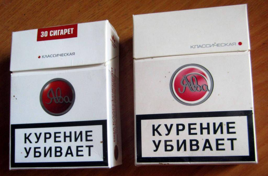 Характеристика сорта арабики Ява (Java)