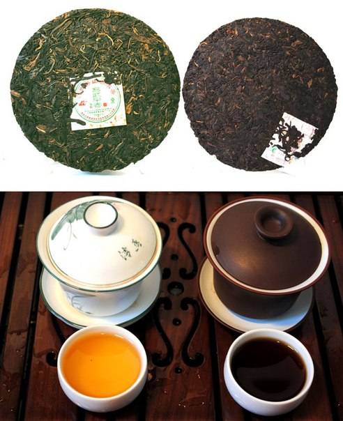 Чай пуэр – что это, свойства, польза и вред. как правильно заваривать и пить чай пуэр