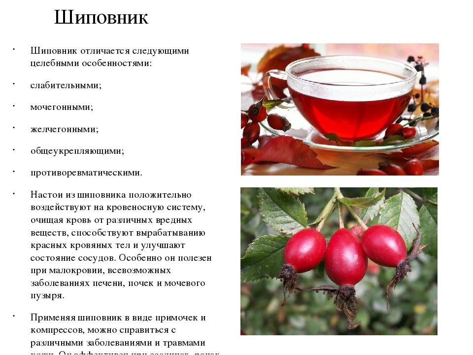 Ферментированный чай из листьев вишни: особенности приготовления