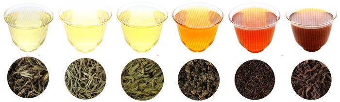 Рецепт: ферментированный чай: как ферментировать иван чай в домашних условиях - типичный кулинар