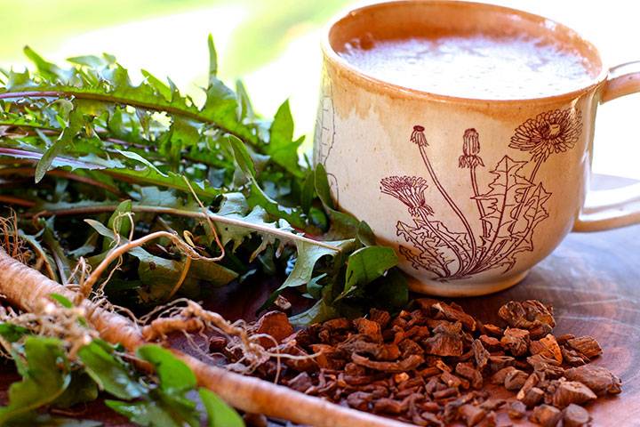 Чай из одуванчика — полезные свойства, как сделать
