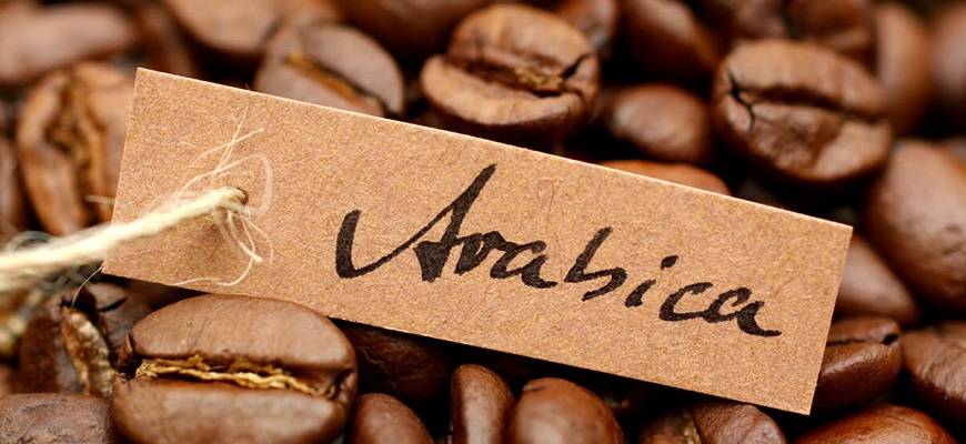 Гибралтар (Gibraltar)